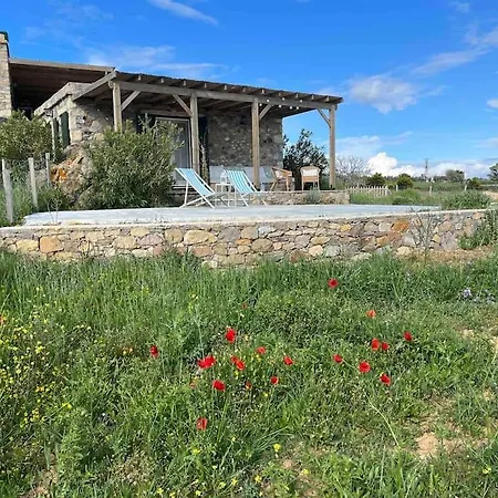 Bozcaada / Tenedos Ayana Ve Midilli Panoramasi *